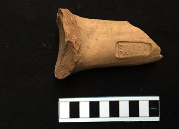 Hallan antiguas bodegas de vinos en Egipto