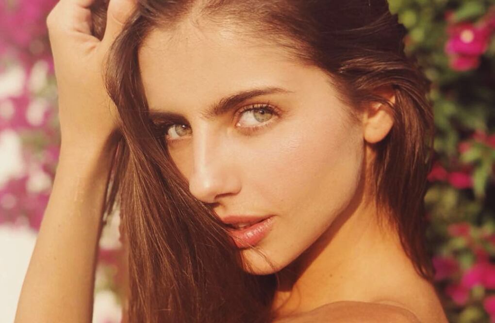 Michelle Renaud fue captada en su arribo al aeropuerto de la Ciudad de México, junto a Marcelo y su esposo, el actor Matías Novoa. 
Foto: Instagram