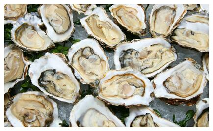 La 4ta edición del Festival del Ostión llegó a Villahermosa