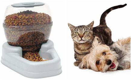 Pet food industry in Mexico shows rapid growth