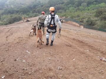 Binomios caninos apoyan en búsqueda de 2 personas atrapadas tras derrumbe en tiradero de basura de Naucalpan