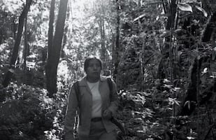 Pérez Lombardini y el martirio ambientalista, por Jorge Ayala Blanco