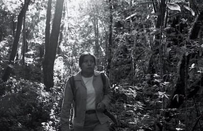 Pérez Lombardini y el martirio ambientalista, por Jorge Ayala Blanco