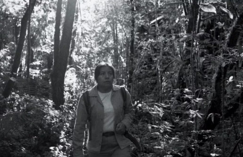 Carolina Guzmán interpreta a Julia, la guardabosques chiapaneca que vigila la reserva. Crédito: Especial