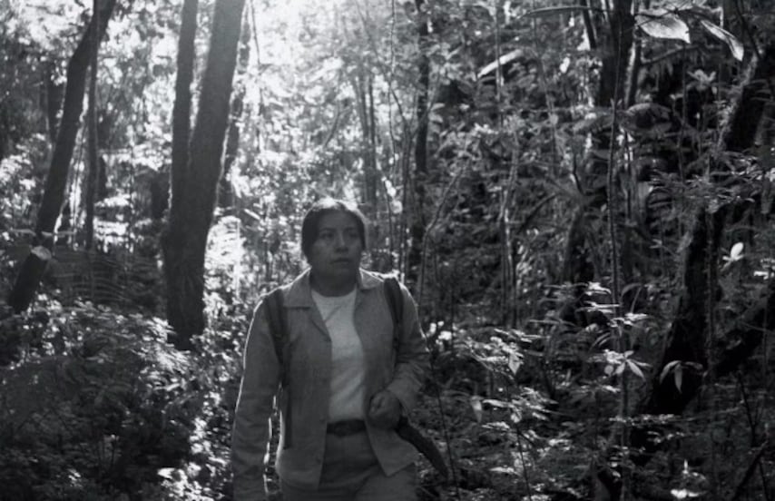 Pérez Lombardini y el martirio ambientalista, por Jorge Ayala Blanco