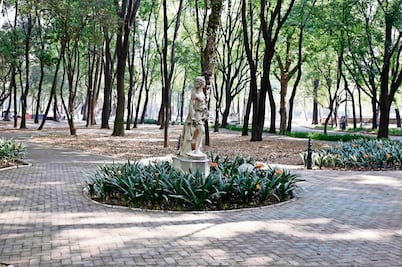 En 3 meses, el plan de rescate de Chapultepec, dice Sedema