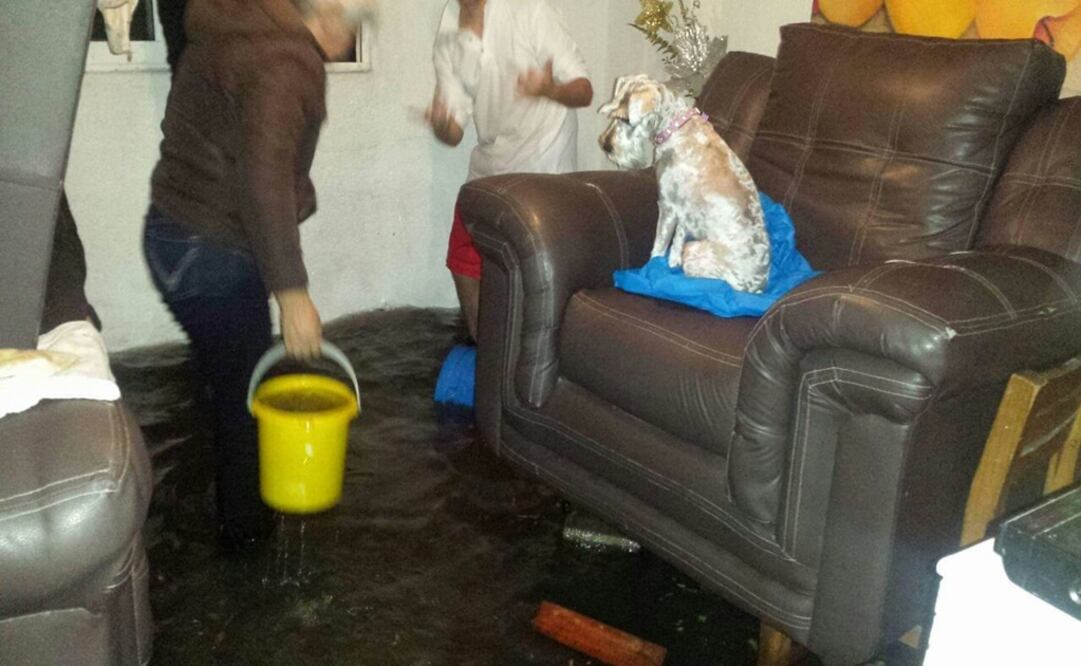 Vecinos de la colonia Santa Apolonia, en Azcapotzalco, reportan inundaciones en sus viviendas (Foto: Especial)