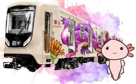 Tren Ligero “El Ajolote” en CDMX; ¿cuándo comienza su servicio y por dónde pasará?