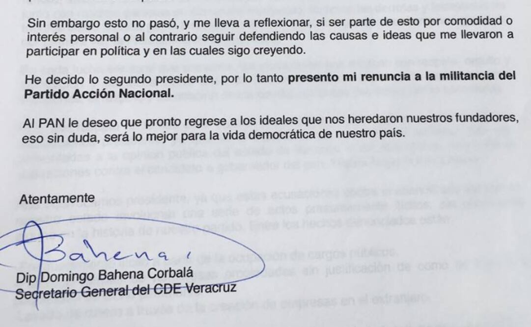 Detalle de la carta de Bahena