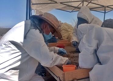 FOTOS: En 10 años, madres buscadoras han encontrado casi 30 campos de exterminio