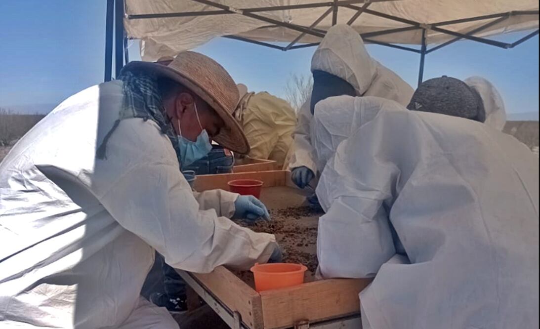 Madres buscadoras acuden a los lugares que les indican a través de mensajes o llamadas anónimas (21 de marzo de 2025). Foto: Francisco Rodríguez / EL UNIVERSAL