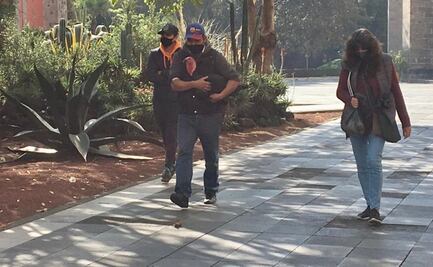 Pavo indultado por AMLO irá al Refugio Sicarú en Morelos