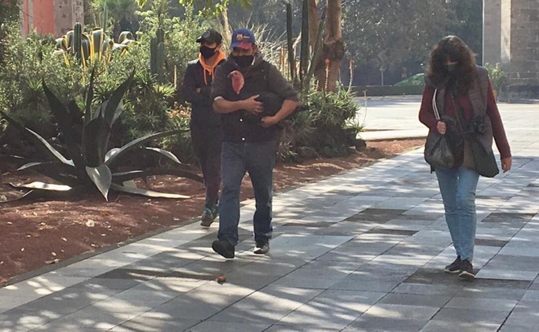 Foto: Alberto Morales/EL UNIVERSAL