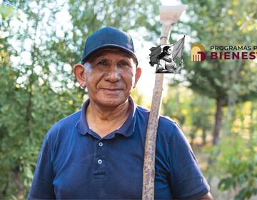 Calendario oficial de pagos Pensión Bienestar noviembre, consulta aquí qué día te toca según tu apellido