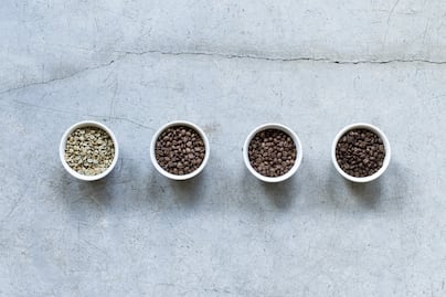 Niveles de tostado de café