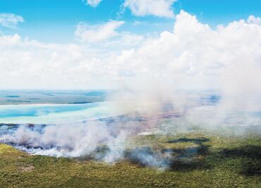 En riesgo, fauna de reserva Sian Ka’an por incendio