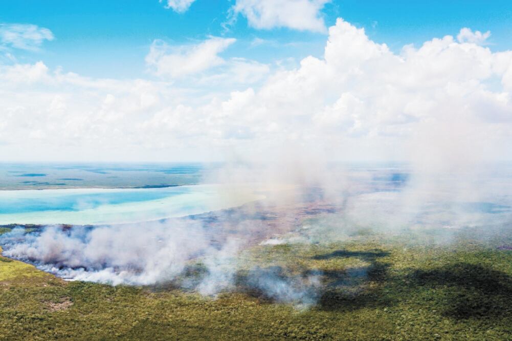 Debido a que los incendios en Sian Ka’an están en diferentes ecosistemas como pastizales, sabana y selva, la diversidad de animales afectadas es mayor, informó la Comisión Nacional de Áreas Naturales Protegidas. Foto: CORTESÍA