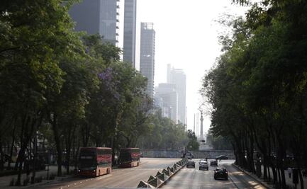 Contaminación en CDMX; cinco contingencias por ozono registra el Valle de México en lo que va de 2026