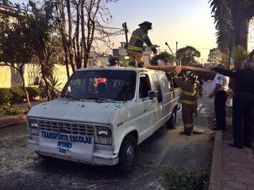 Cae árbol sobre transporte escolar en la Balbuena