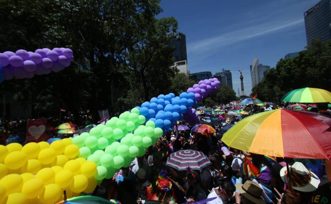 La propuesta indica que los establecimientos públicos pueden incorporarse a espacios de “inclusión y diversidad” a través de la obtención de un sello que los reconozca y que será optativo. Foto: Frida Sánchez