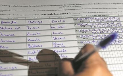 Suman 308 mil 771 ciudadanos que piden consulta