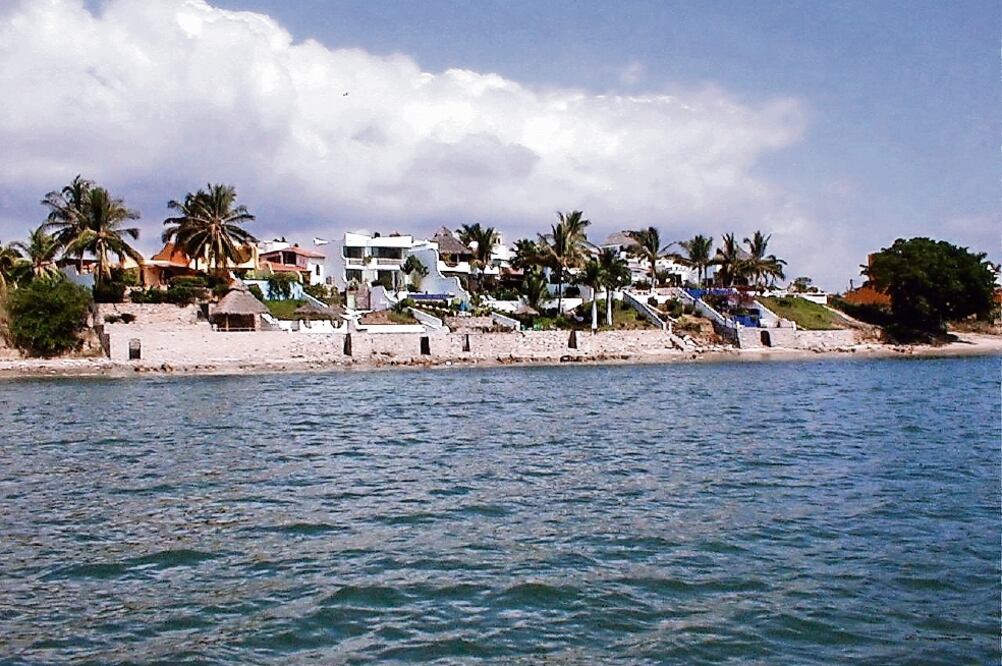 Armando Véjar, presidente del grupo, se plantea desarrollar un mega complejo turístico a seis años que marque la pauta en la Riviera Nayarit (ARCHIVO EL UNIVERSAL)