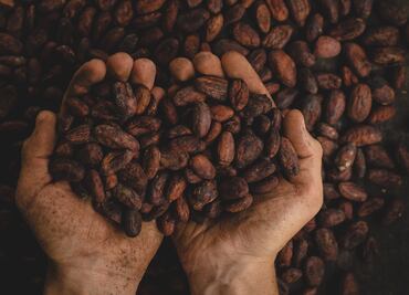 5 beneficios de consumir cacao