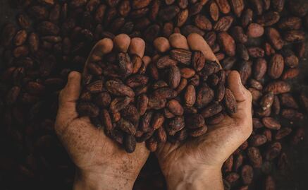 5 beneficios de consumir cacao