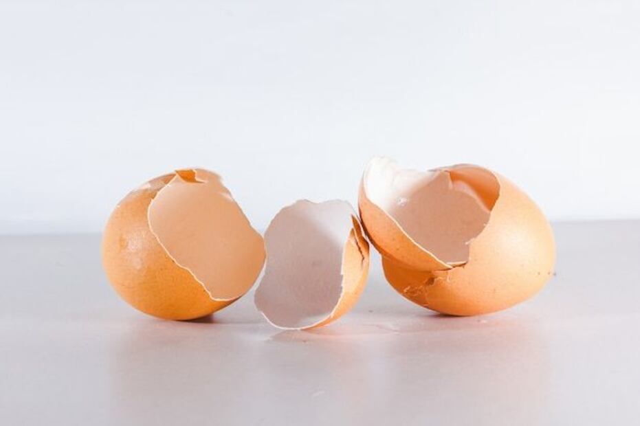 Descubre los sorprendentes beneficios de la cáscara de huevo, un tesoro desperdiciado. Fuente: Freepik.