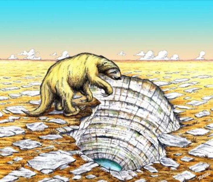 Descubren nueva especie de perezoso gigante del 10305 a.C.