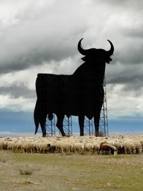 ​El famoso “Toro de la carretera” cumple 60 años