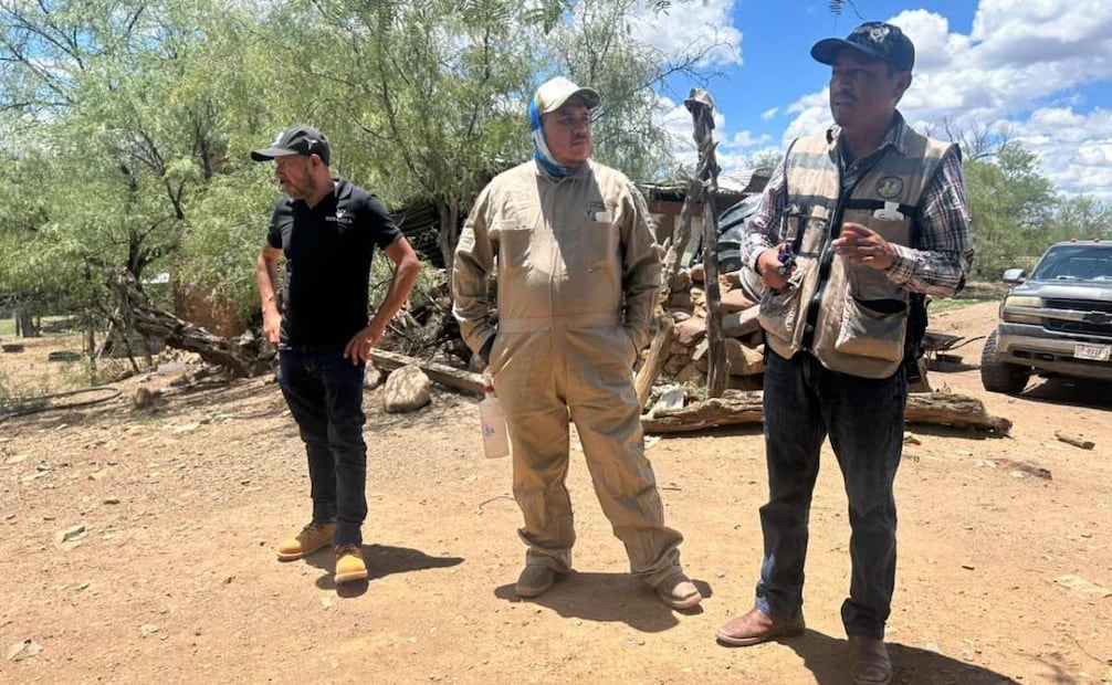 Chihuahua refuerza acciones por gusano barrenador en Parral; inspeccionan ranchos en 40 kilómetros.
Foto: Especial.