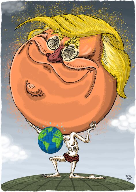 Cartón de FER