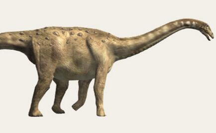 La armadura ósea de los dinosaurios, útil para defenderse y fabricar huevos