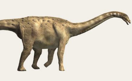 La armadura ósea de los dinosaurios, útil para defenderse y fabricar huevos