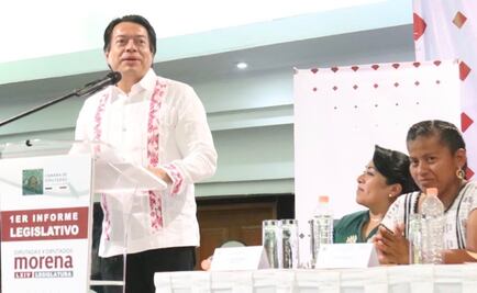 Ley de Austeridad no aplica a partidos: Mario Delgado