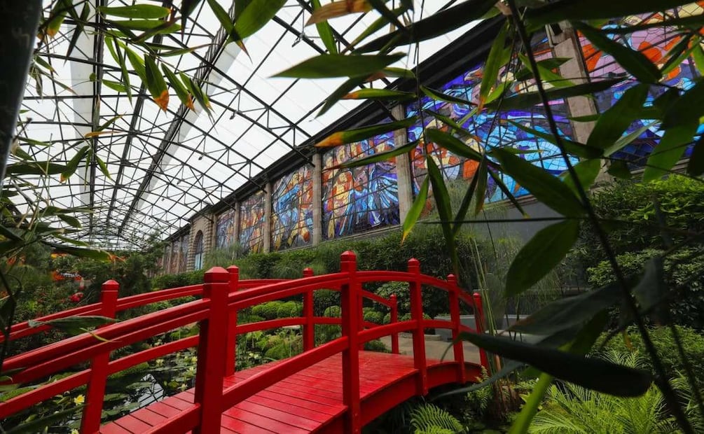 Jardín Botánico Cosmovitral. Foto: Jorge Alvarado. EL UNIVERSAL