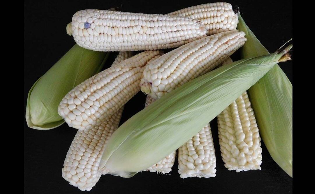 Foto: Archivo EL UNIVERSAL