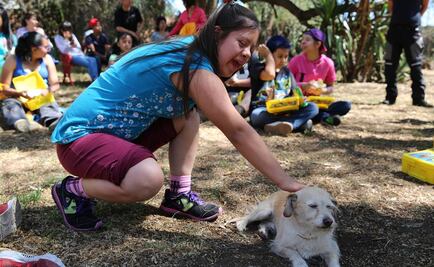 Abrazos que sanan: Jóvenes y mascotas que se rehabilitan juntos