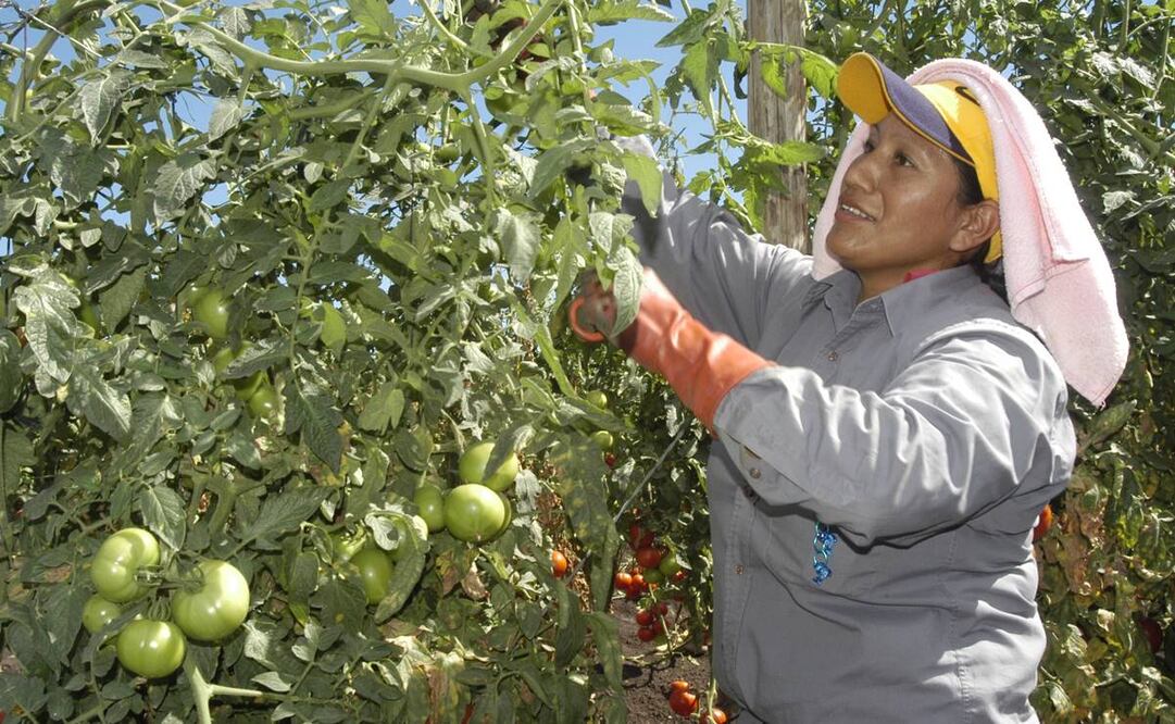 Foto: Archivo/EL UNIVERSAL