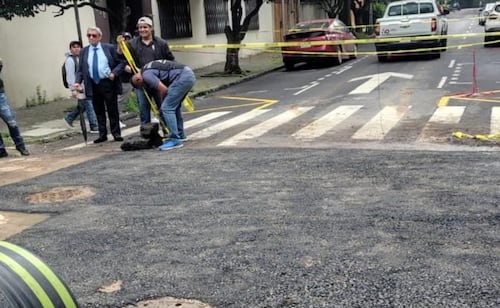 Reabren circulación tras reparar socavón en Álvaro Obregón; concluyen obras en calles de Guadalupe Inn