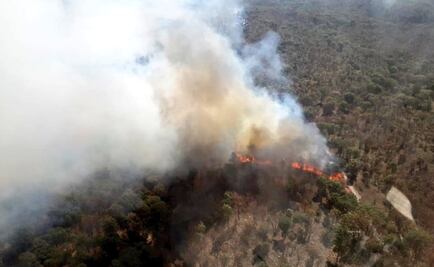 Bosque La Primavera sufre noveno incendio del mes