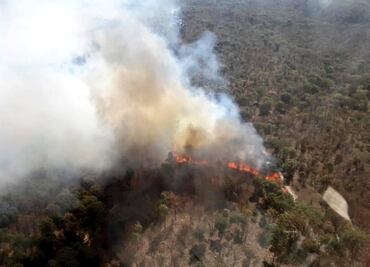 Bosque La Primavera sufre noveno incendio del mes