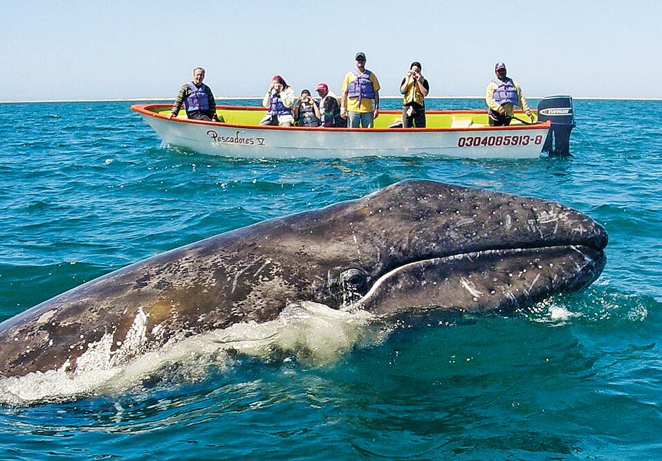 ARCHIVO / EL UNIVERSAL