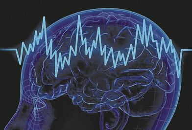 La neurobiología apuesta por desentrañar los misterios del cerebro humano
