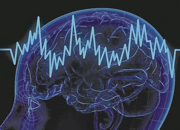 La neurobiología apuesta por desentrañar los misterios del cerebro humano