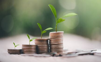 Definen las reglas para el pago del impuesto verde