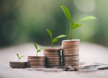 Diputados de CDMX sugieren que Impuesto Verde aumente conforme prácticas contaminantes; proponen crear Fondo