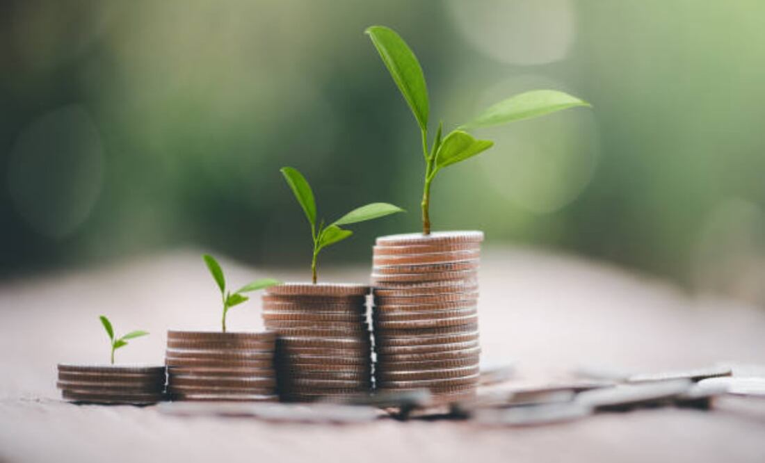 Sugieren que impuesto verde vayan aumentando conforme a las prácticas contaminantes (02/04/2025). Foto: Pixabay