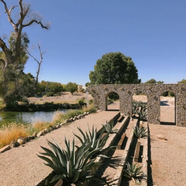 Explora la ruta de vinos en Coahuila 